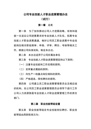 公司技能人才管理办法