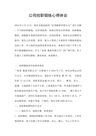 公司挂职锻炼心得体会