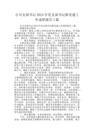 公司支部书记2024年党支部书记抓党建工作述职报告3篇