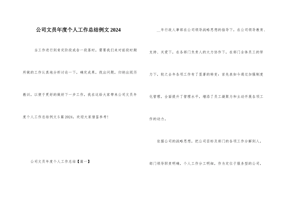 公司文员年度个人工作总结例文2024_第1页