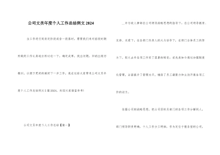 公司文员年度个人工作总结例文2024