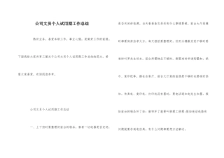 公司文员个人试用期工作总结