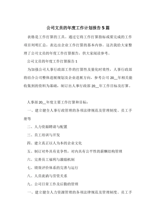 公司文员的年度工作计划报告5篇