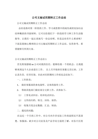 公司文秘试用期转正工作总结