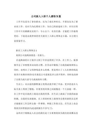 公司新人入职个人感悟5篇