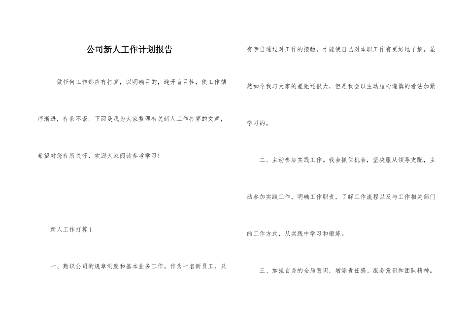 公司新人工作计划报告_第1页