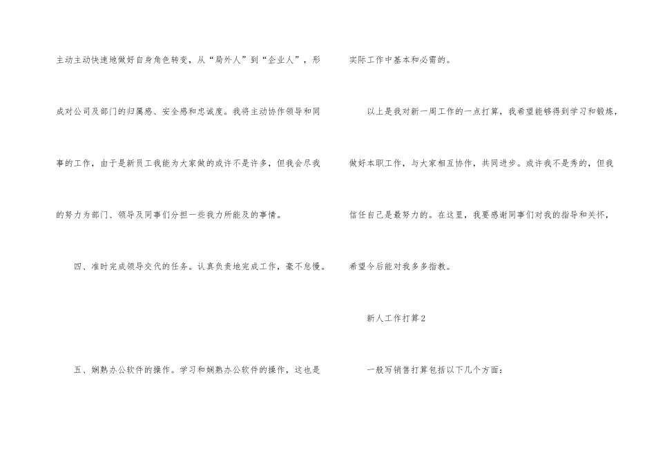 公司新人工作计划报告_第2页