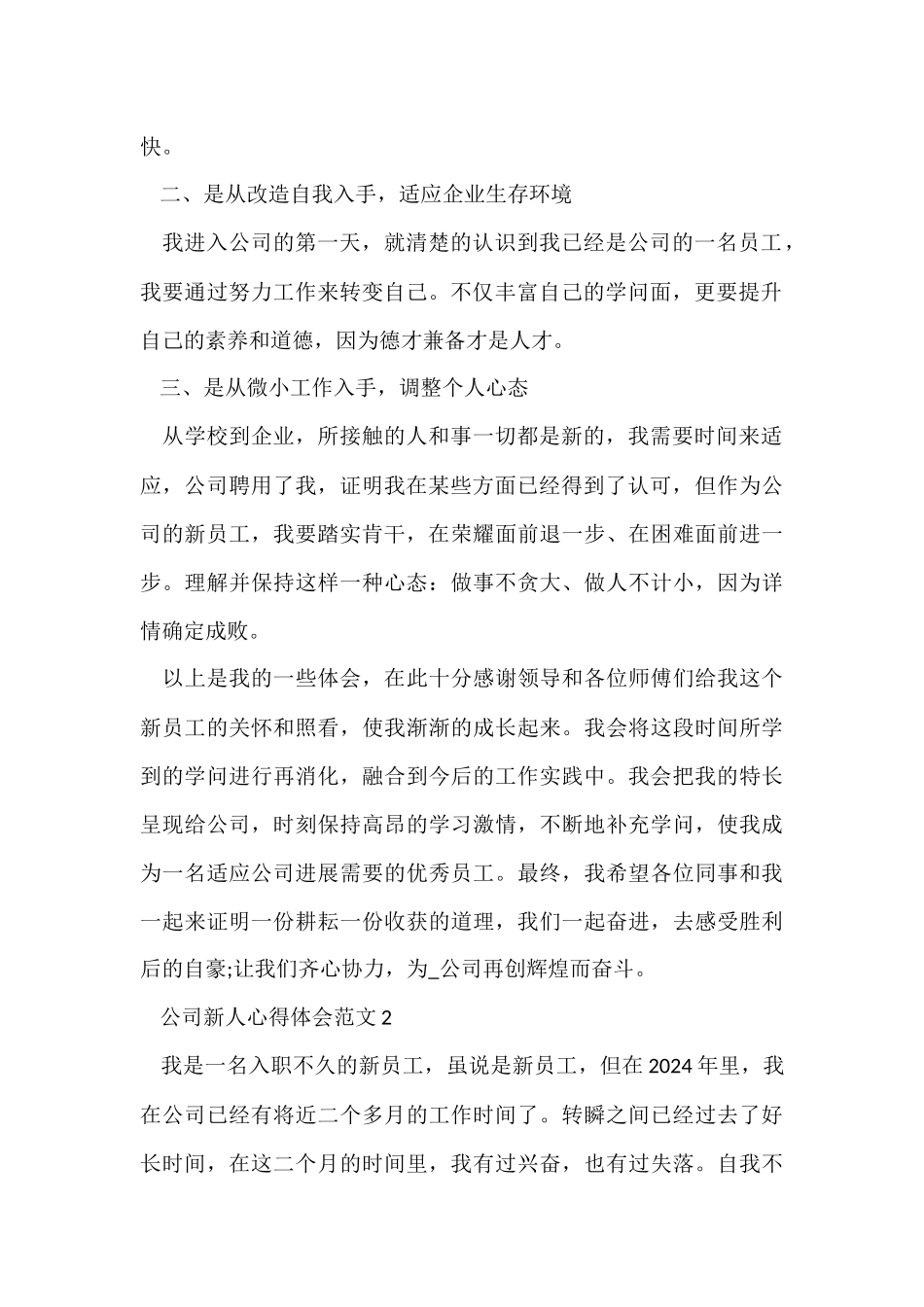公司新人心得体会五篇_第2页