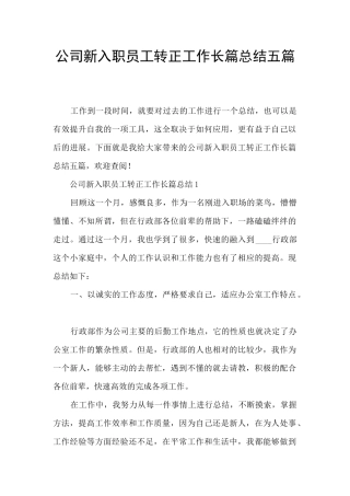 公司新入职员工转正工作长篇总结五篇