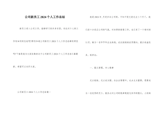 公司新员工2024个人工作总结