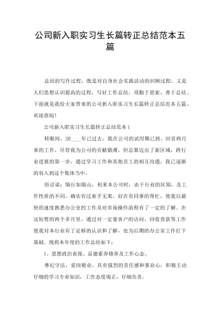 公司新入职实习生长篇转正总结范本五篇
