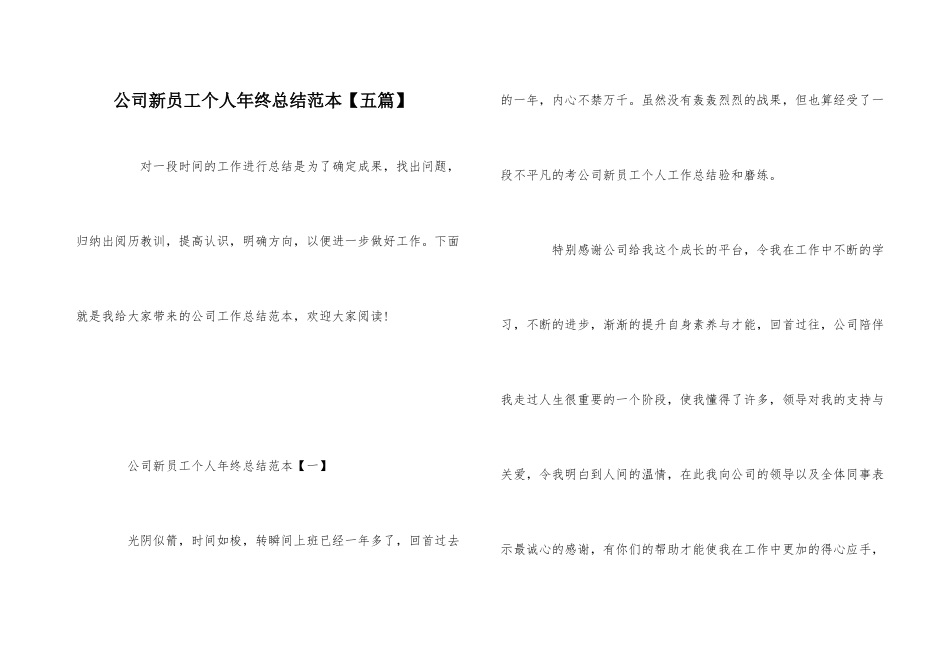 公司新员工个人年终总结范本_第1页