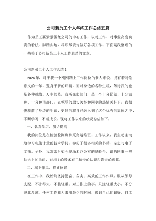 公司新员工个人年终工作总结五篇