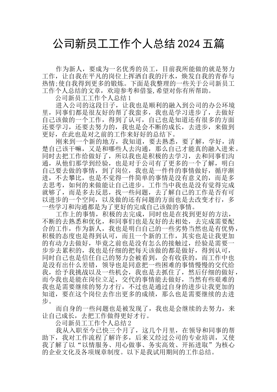 公司新员工工作个人总结2024五篇_第1页