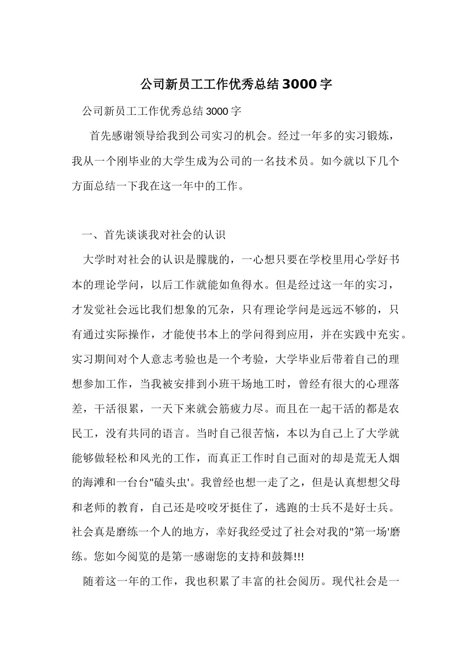 公司新员工工作优秀总结3000字_第1页