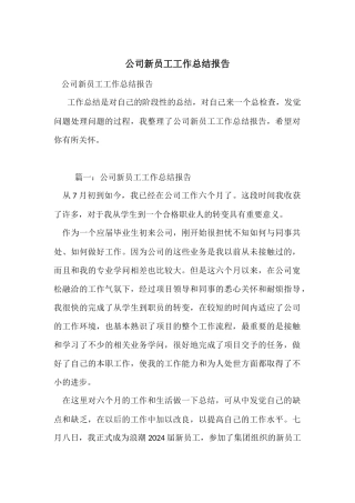 公司新员工工作总结报告