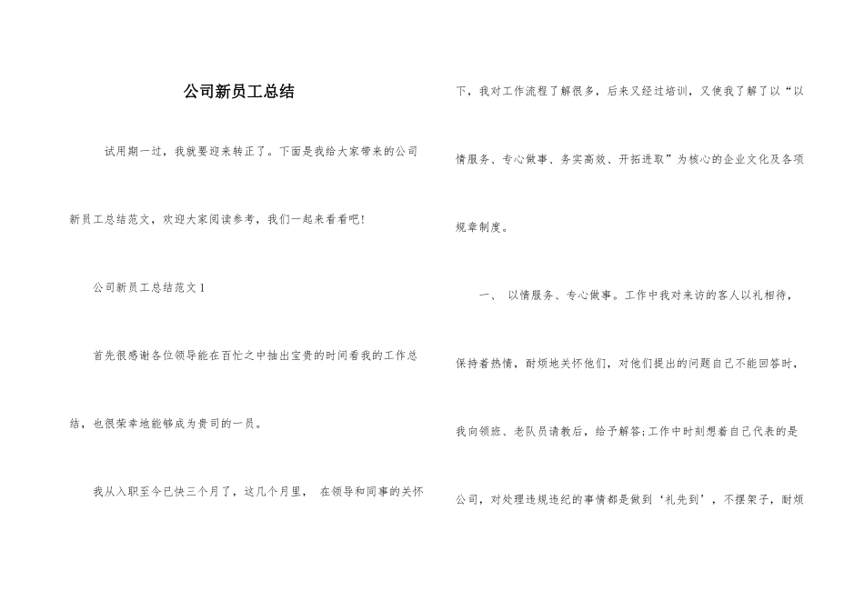 公司新员工总结_第1页