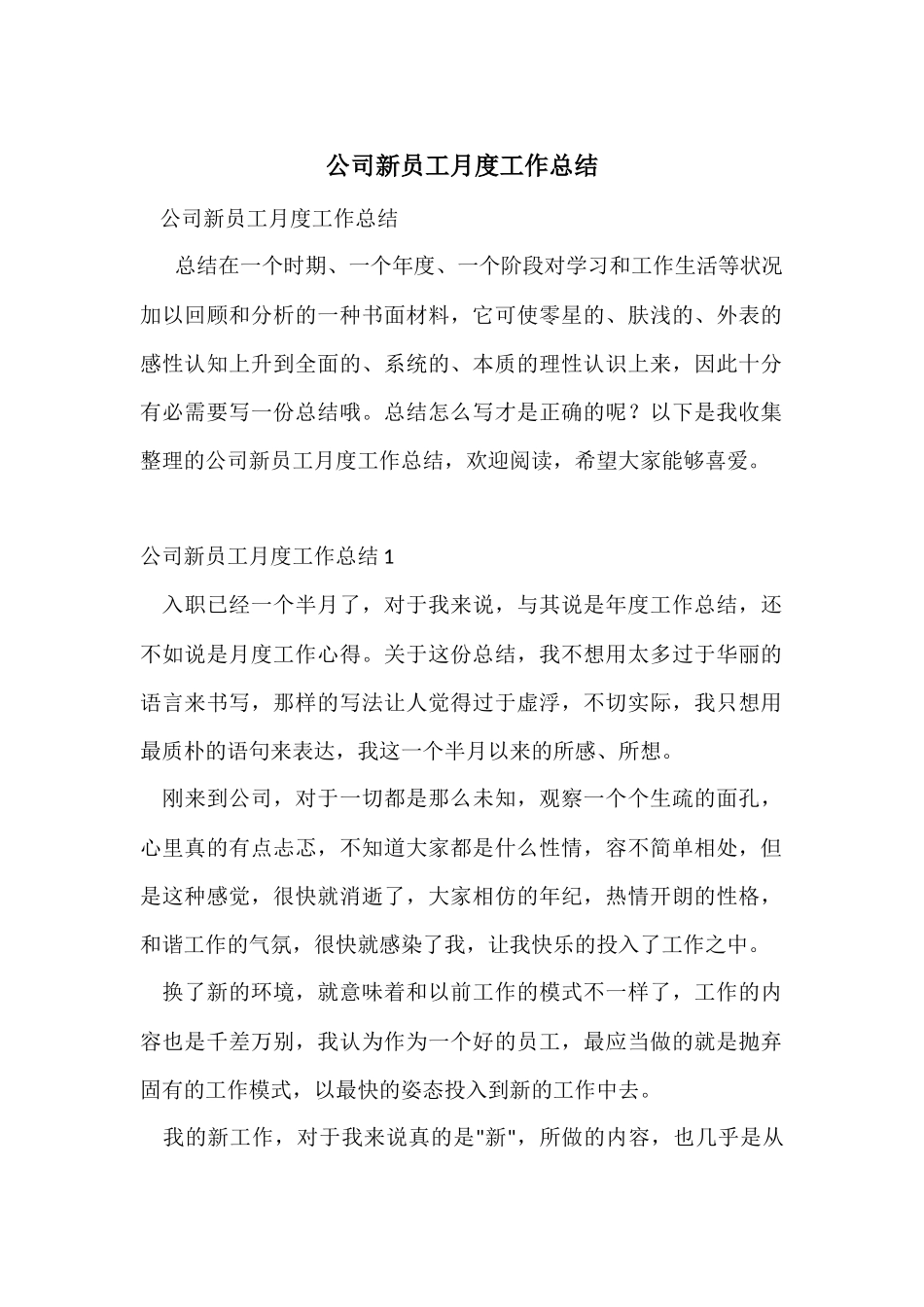 公司新员工月度工作总结-2_第1页