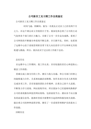 公司新员工见习期工作自我鉴定