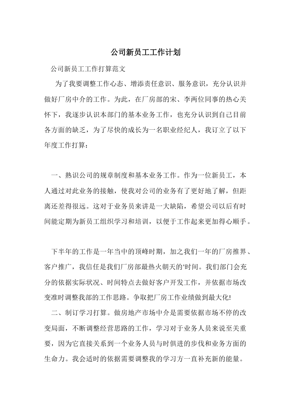 公司新员工工作计划_第1页