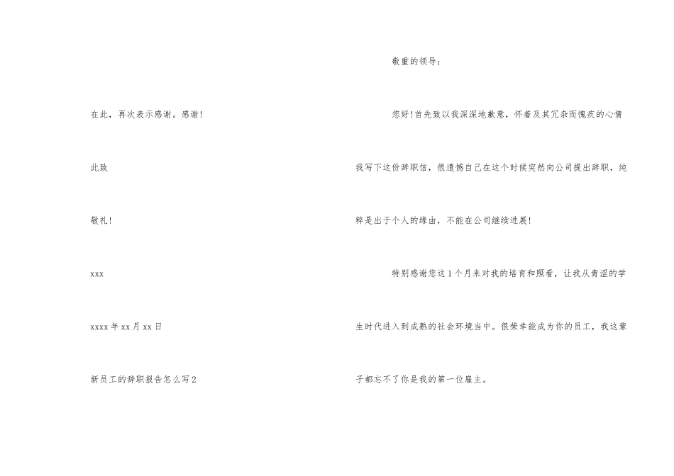 公司新员工的辞职报告必备优秀模板5篇_第3页