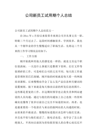 公司新员工试用期个人总结