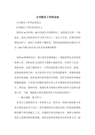公司新员工年终总结