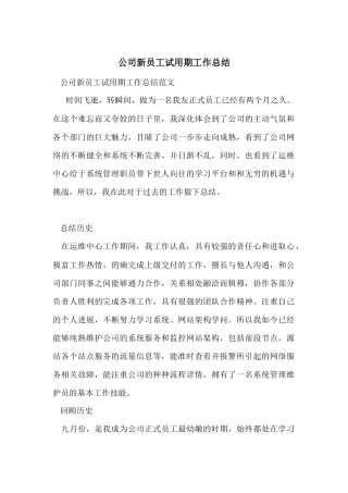 公司新员工试用期工作总结