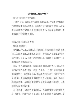 公司新员工转正申请书-3