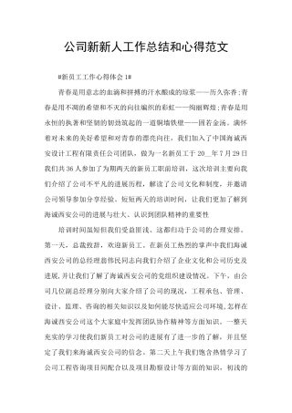 公司新新人工作总结和心得范文