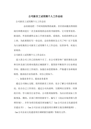 公司新员工试用期个人工作总结