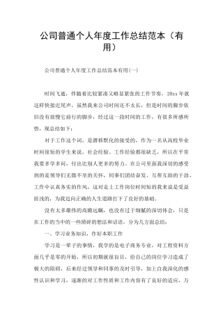 公司普通个人年度工作总结范本