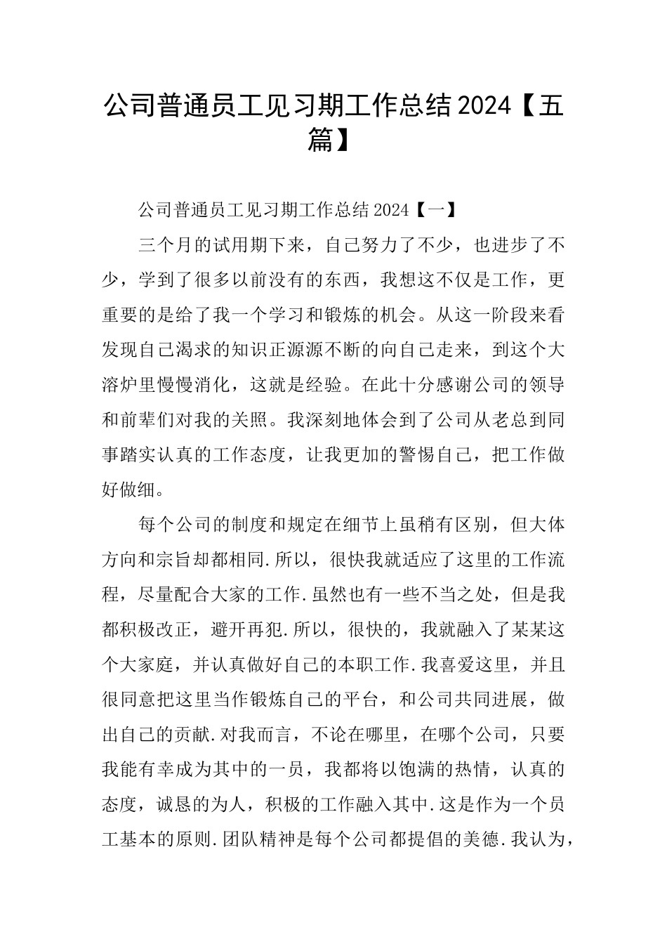 公司普通员工见习期工作总结2024_第1页