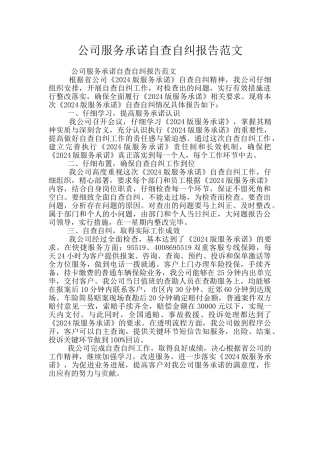 公司服务承诺自查自纠报告范文