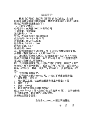 公司注销清算报告