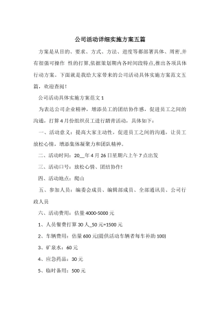 公司活动详细实施方案五篇