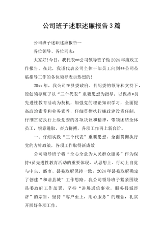 公司班子述职述廉报告3篇