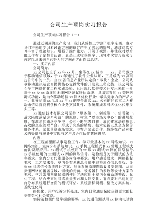 公司生产顶岗实习报告
