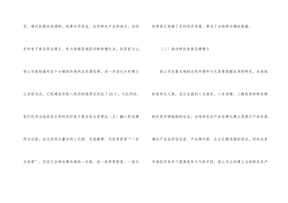 公司电子商务发展汇报材料_第3页