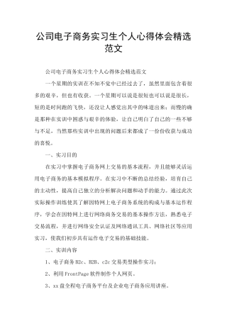 公司电子商务实习生个人心得体会精选范文