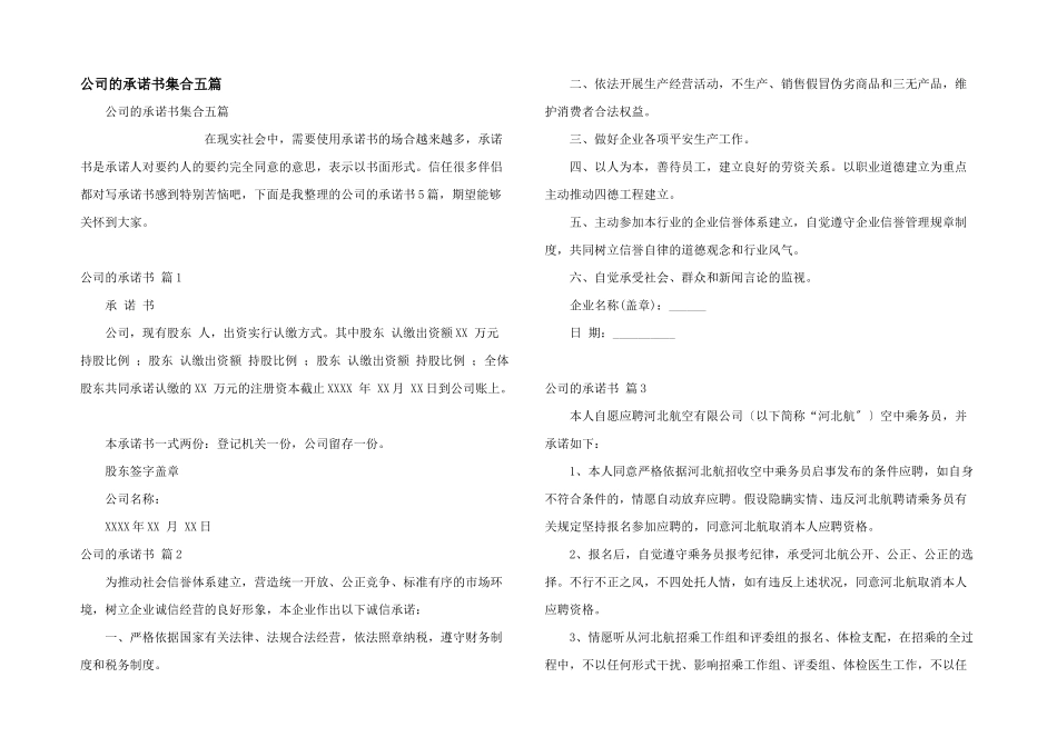 公司的承诺书集合五篇_第1页