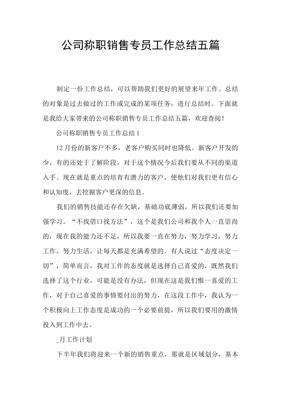公司称职销售专员工作总结五篇_第1页