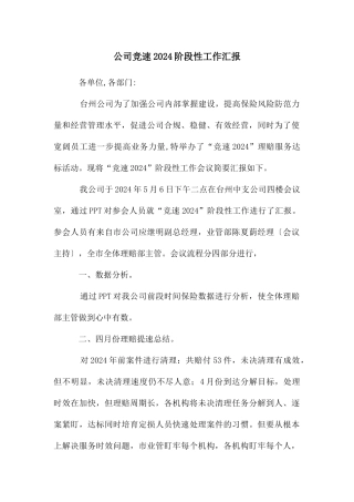 公司竞速2024阶段性工作汇报