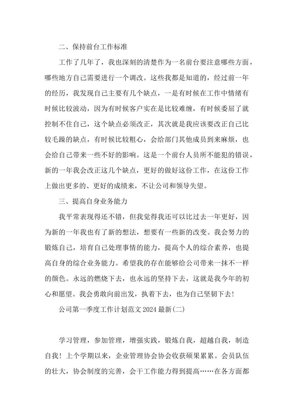 公司第一季度工作计划范文2024最新_第2页