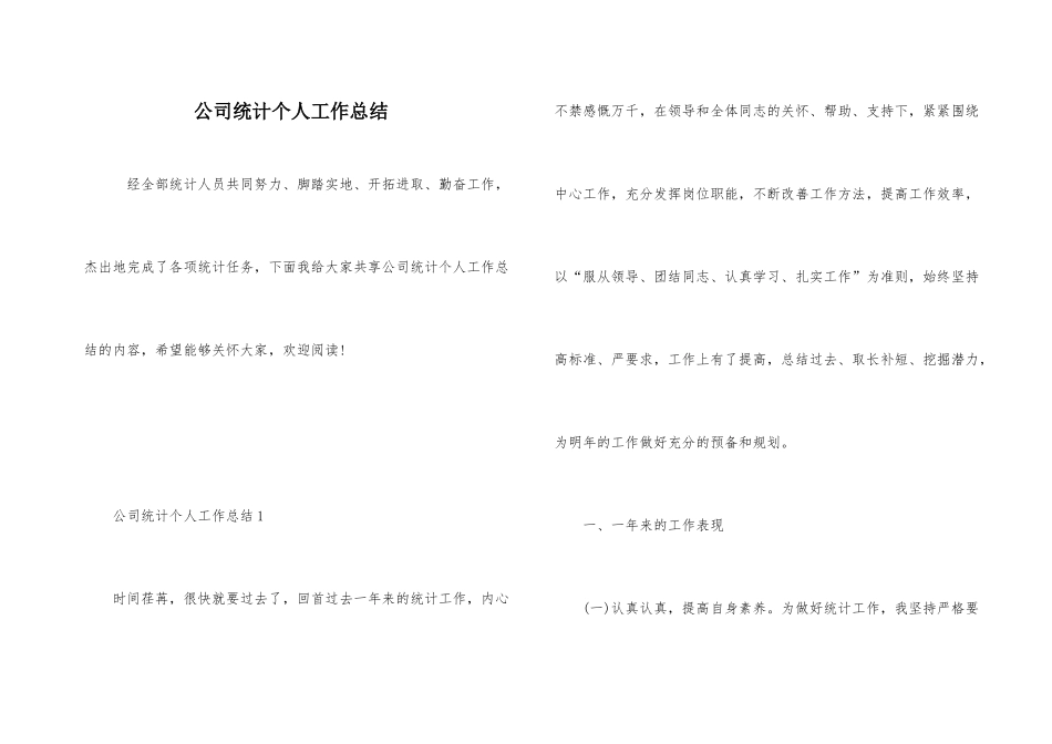 公司统计个人工作总结_第1页