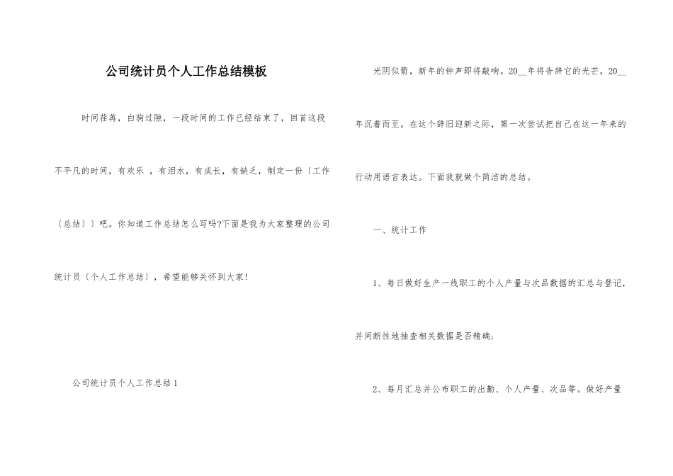公司统计员个人工作总结模板_第1页