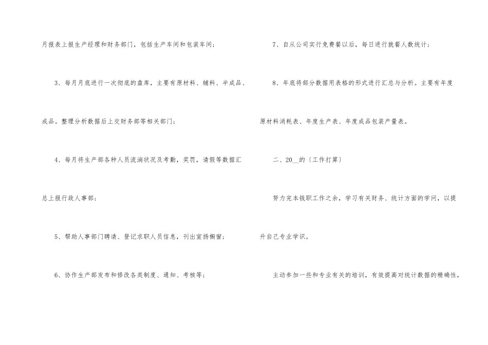 公司统计员个人工作总结模板_第2页