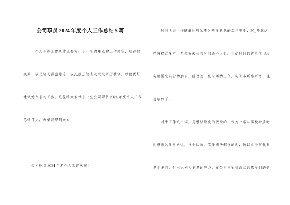 公司职员2024年度个人工作总结5篇_第1页