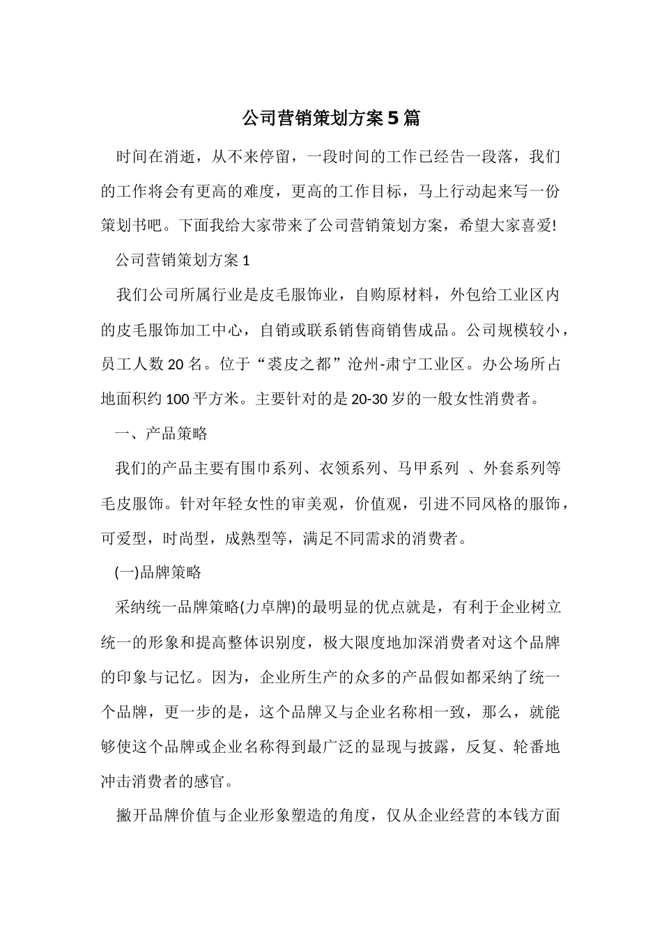 公司营销策划方案5篇_第1页