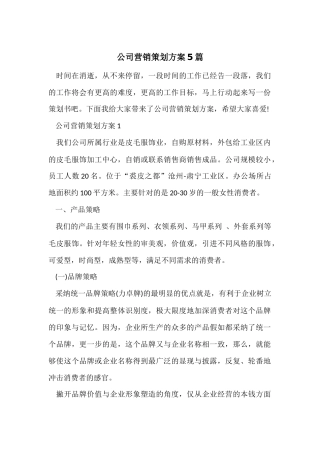 公司营销策划方案5篇